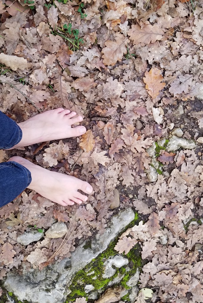 Jardin de soin et hortithérapie