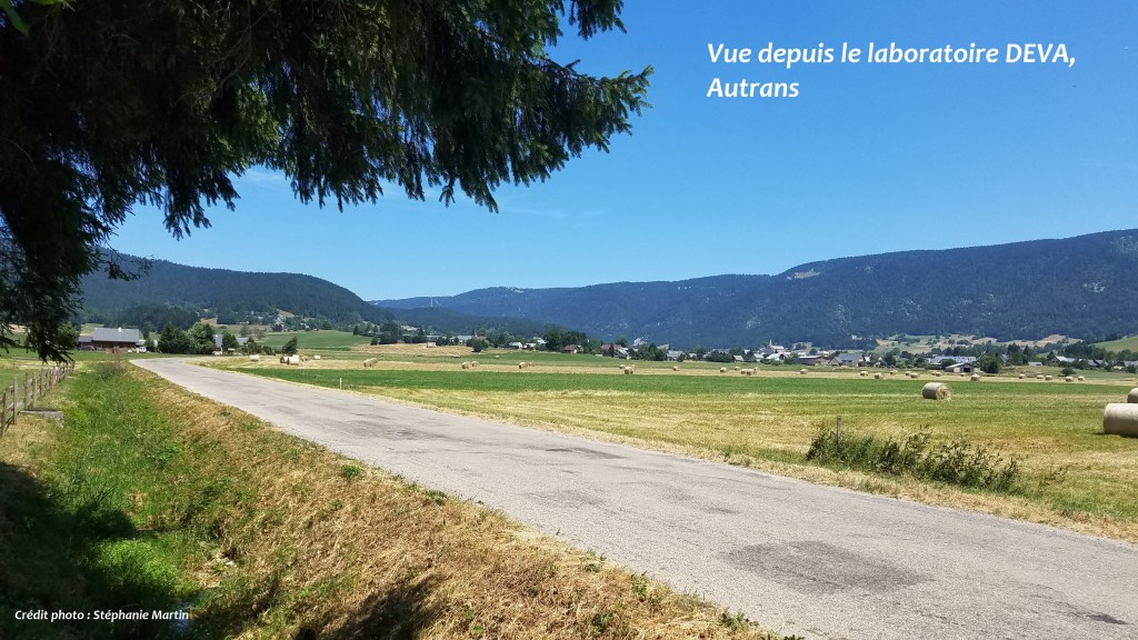 Autrans
Stéphanie Martin, psychologue Aix-les-Bains